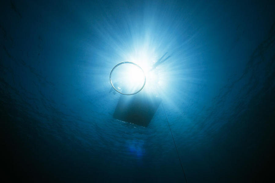 在清澈的海水中抬头仰望，阳光格外刺眼。因为存在极大的危险性，自由潜水的潜点都选择在透明度高的开放水域大海。 

