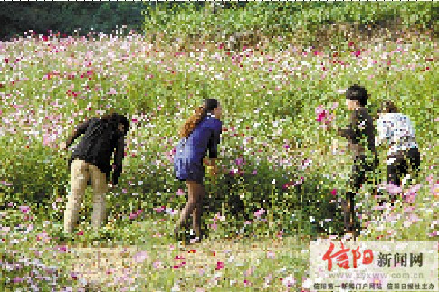 花开堪折不须折 人人都做护花使者