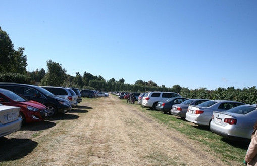 带着农场混异界_国外农场收入如何