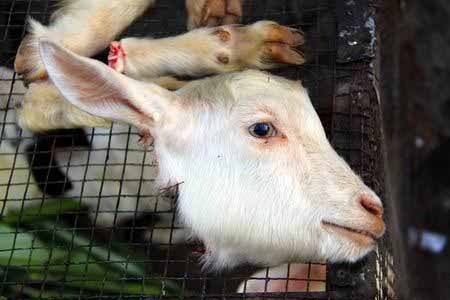 裸女加血腥! 细数无脑游戏策划引起的乌龙