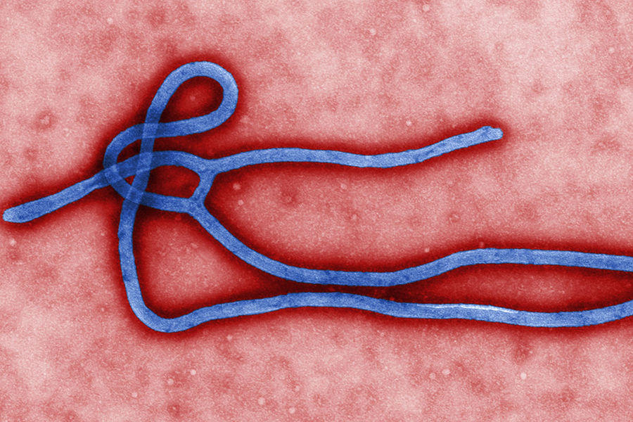 “埃博拉”病毒有一定的耐热性，但在60摄氏度的条件下60分钟将被杀死。病毒主要存在于病人的体液、血液中，因此对病人使用过的注射器、针头、各种穿刺针、插管等，均应彻底消毒，最可靠的是使用高压蒸气消毒。埃博拉病毒还可能经过空气传播。