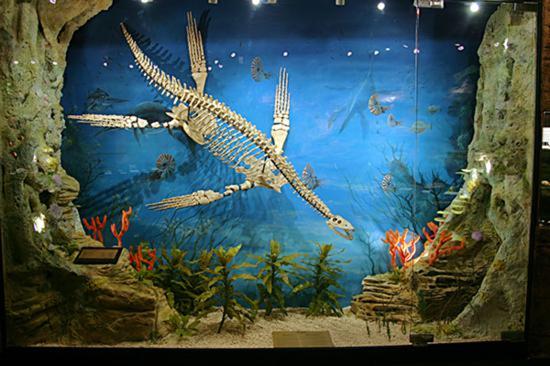 尼斯湖水怪现身长沙 再续深水传说?_湖南频道_凤凰网