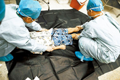 深圳11岁小学生临终前捐器官救人