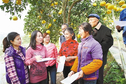 梁平:深入开展突出问题专项整治(图)_重庆频道