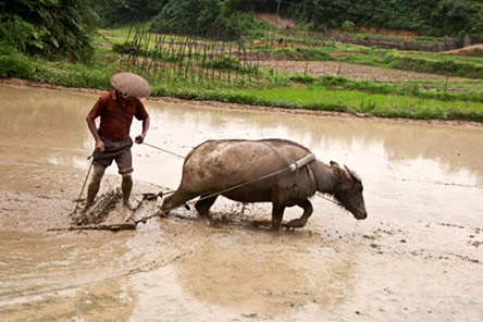 经销商自建B2B平台选择成熟解决方案是关键