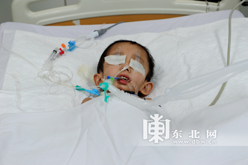 4岁男孩将成黑龙江儿童遗体器官捐赠第一人