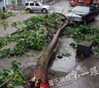 重庆丰都县遭遇10级狂风袭击