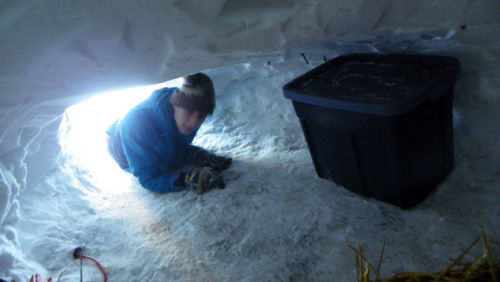 美国男孩野外生存一年 零下70度雪洞内安然入