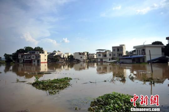广西崇左风灾后再遭洪灾 受灾人口上百万(图)|
