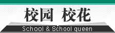 高清图片