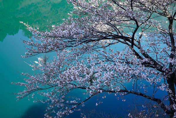 索尼A7S官方样张 最高感光度ISO 12800-中国