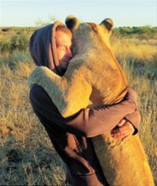 人狮的亲密拥抱(图)