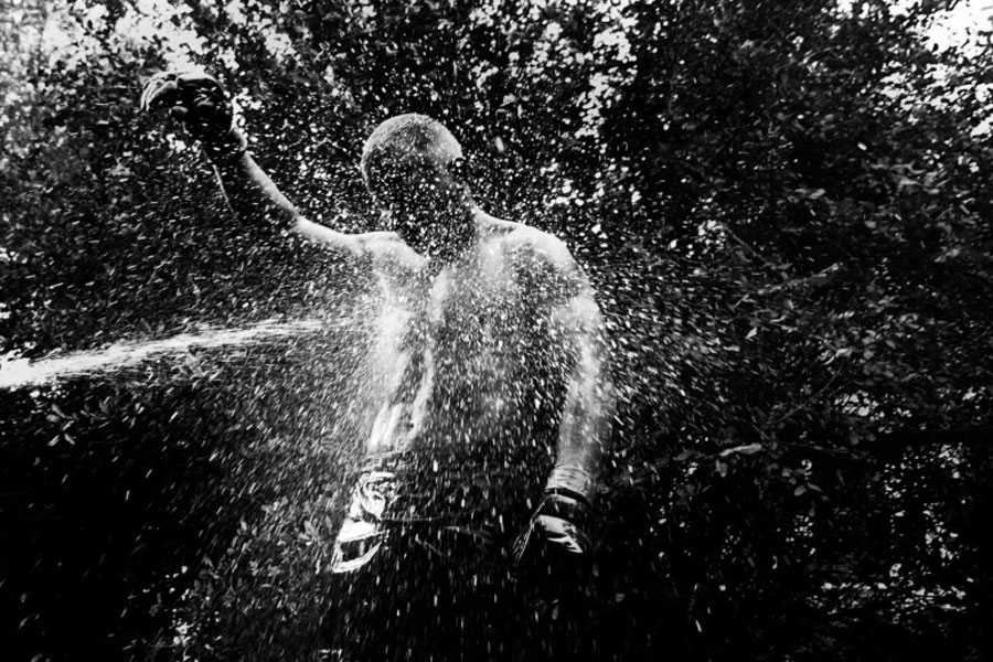 第55届荷赛 拳击