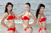 近年来，越南小姐选美也越来越国际化，大胆穿上火辣比基尼，在海滩大摆POSE，虽然与国际性选美相比稍显青涩，但其散发的独特异域魅力，仍让人心动不已。
