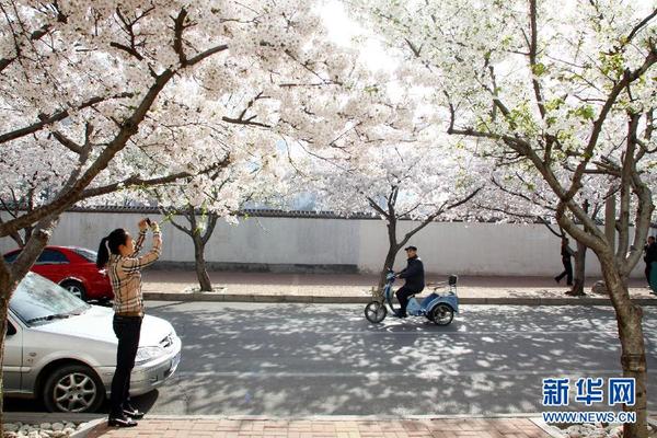 留住这春色 一起踏上全球“追花之旅”