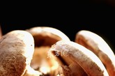 四、蘑菇

1、营养丰富：蘑菇中的蛋白质含量多在30%以上，比一般的蔬菜和水果要高出很多。

含有多种维生素和丰富的钙、铁等矿物质。最重要是它还含有人体自身不能合成却又是必须的8种氨基酸。

2、提高免疫力：香菇经太阳照射后，所含有的特殊物质会转化成维生素D，它被人体吸收后，对增强抵抗力有帮助。香菇还能够刺激人体产生更多的干扰素，消灭体内的病毒，因此香菇对预防感冒也有一定的作用。

