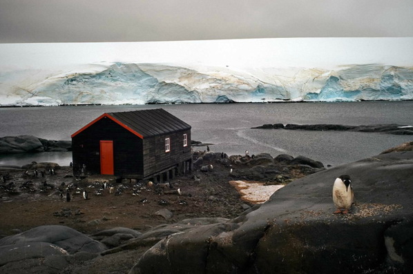 风光摄影：企鹅的一生