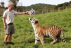 南非饲养员与老虎的感人友谊