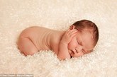 美国费城摄影师Dan Cueller拍摄了一组新生儿极其可爱的睡姿照片。熟睡的婴儿非常自然地拍着各种姿势，实在让人疼爱。摄影师说：“新生儿天生就很可爱，他们这么小不会做很多动作。你不能让新生儿做什么，因此当他们熟睡时，拍摄起来更容易，效果最好。”

