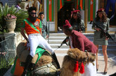 法国戛纳，当地时间2012年5月16日，电影《独裁者》戛纳电影节记者会。英国演员萨莎-拜伦-科恩   （Sacha Baron Cohen）骑骆驼现身反出糗，险些跌落。