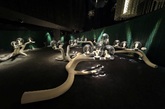 上海当代艺术馆幻化为光华璀璨的高级珠宝艺术殿堂，370余件Van Cleef & Arpels梵克雅宝典藏臻品围绕“异域风情”、“自然灵感”、“精致优雅”与“女性柔美”四大主题呈现在两层的展厅之中。