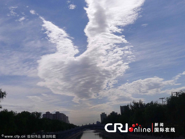 北京空中云彩呈现出凤凰图案