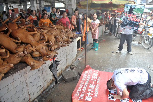 广西玉林男子在狗肉市场下跪谢罪
