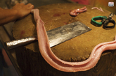广州番禺的一家蛇肉餐馆内，厨师正在处理一条眼镜蛇。中国人认为蛇血和蛇肉有大补功效，当地的蛇肉生意屡禁不止。
