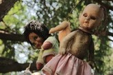 墨西哥的娃娃岛(也有称为玩偶岛)一直有一种神秘诡异的魅力，围绕着这个岛与附近的运河，有很多古老的传说和故事。娃娃岛位于Teshuilo湖上，在霍奇米尔科和墨西哥城之间。后来这里发现很多丢弃的旧娃娃，随着时间的累积，娃娃的数量越来越惊人达到数以千计。这些娃娃被丢得到处都是，有些还绑在树上，越来越多的娃娃改变了这里的环境，这里变得越来越神秘诡异，令人毛骨悚然。 
