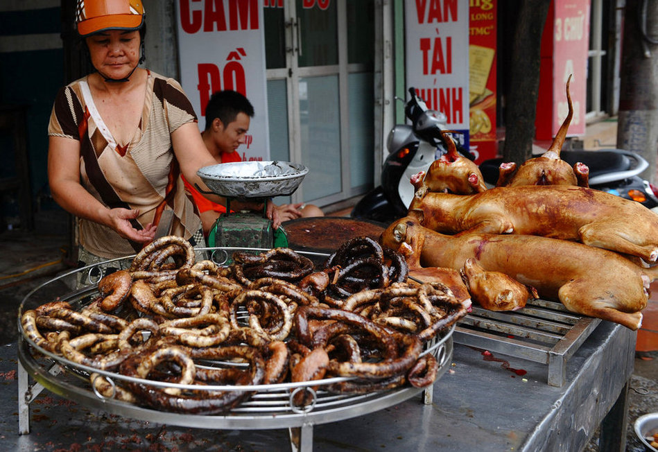 高清:探访越南首都著名的狗肉街