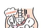 骨盆对女性的重要性？

我的形状看起来有点像一只蝴蝶，是一个很美的部分。我是人身体中部最重要的一个纽带部位。上方连接着脊柱，下方连接着双腿。由骶骨、尾骨及左右两块髋骨组成。骨盆各部位之间由骰结节韧带、骶棘韧带连接。骨盆的主要关节有骶骼关节、骶尾关节、耻骨联合。对于女性而言，我的存在还决定着生育和性生活的质量。一个健康的骨盆除了会给女性带来完美的生活和快乐的体验，更是女性生殖系统和宫腔保健的重要条件。

