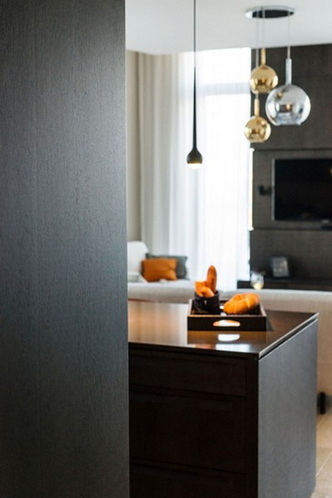 波兰华沙公寓坐拥绝佳视野 裸色橡木地板铺出新意