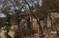 【网友原创】椒盐作品：北京证果寺 八大处中最古老的寺院