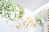设计师在内部空间的不同高度安置了绿植，并以神奈川冲浪和鲤鱼的日本传统浮世绘图案装饰墙面瓷砖，镜子的运用则增加了空间张力。（实习编辑：容少晖）
