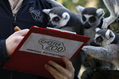 英国动物园的年度普查