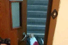 北京金融街一男子自杀