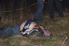 乌克兰极右翼武装领导人被枪杀