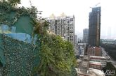 2014年4月10日，广州林和东路海棠阁小区东座顶层3层楼被业主搭建成“原始森林”，疑似违章建筑。该小区顶层盘踞着一团异常茂密的“绿色植物”，“远看像是天台的花花草草太过繁茂，但走近一看，却很像是一个用绿色植物做‘掩护’的违章建筑。”（实习编辑李丹）