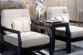 迪信家具休闲椅外观上追求：结构简单优雅，线条干脆利落，配色端庄素雅。