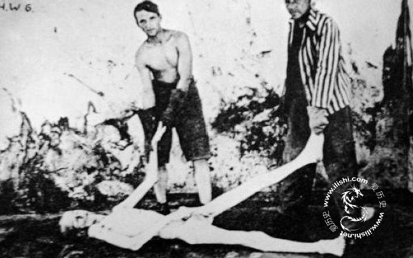 欧洲的黑太阳731 :纳粹进行活人试验的达豪集