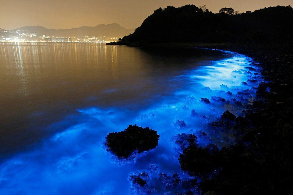 晚上的大海是什么颜色的 xes_522a5e09568f4d6ed16157432e4fc89b.jpg