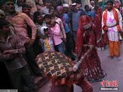 印度举办传统棒打男人节