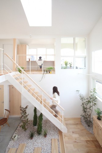 室内木材公园  Kofunaki House/生态的住屋