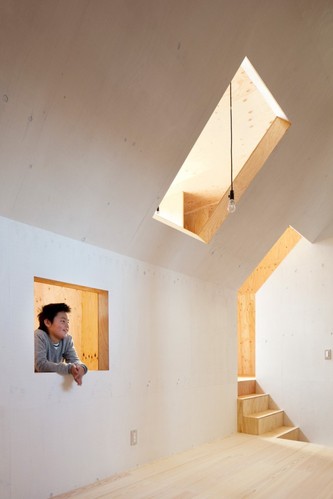 不可思议的屋中屋 Ant House/蚁窝