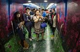 2015年劳动节，南京地铁3号线便开出了一趟有3D效果装饰的地铁。这趟“开往春天的列车”，由六节以3D概念打造的车厢组成，每节车厢都以无限的想象力，营造出逼真的游园场景，让乘客眼前一亮。