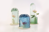 OP-vase 是由土耳其设计师 Bilge Nur Saltik 构思创建的一系列花瓶，通过视觉扭曲、万花筒原理，设计师使一朵花仿佛幻化出万千抽象花朵 ，遍布花瓶瓶罩上的整个球面空间。整个系列由三个不同尺寸的花瓶组成，每一个都用玻璃手工吹制而成，并有各自独特的图案和切口，或蓝或绿、或深或浅的颜色又给鲜花增色不少 。当观察者转动并改变角度时，玻璃罩上的鲜花也随之变化形式，万千归一、一化万千。（实习编辑：谭婉仪）