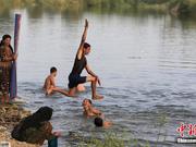 埃及遭遇48℃高温 儿童河水中纳凉解暑