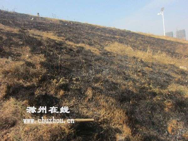 跨年夜 滁州凤凰湖西涧湖数百平方草坪被烧（图）