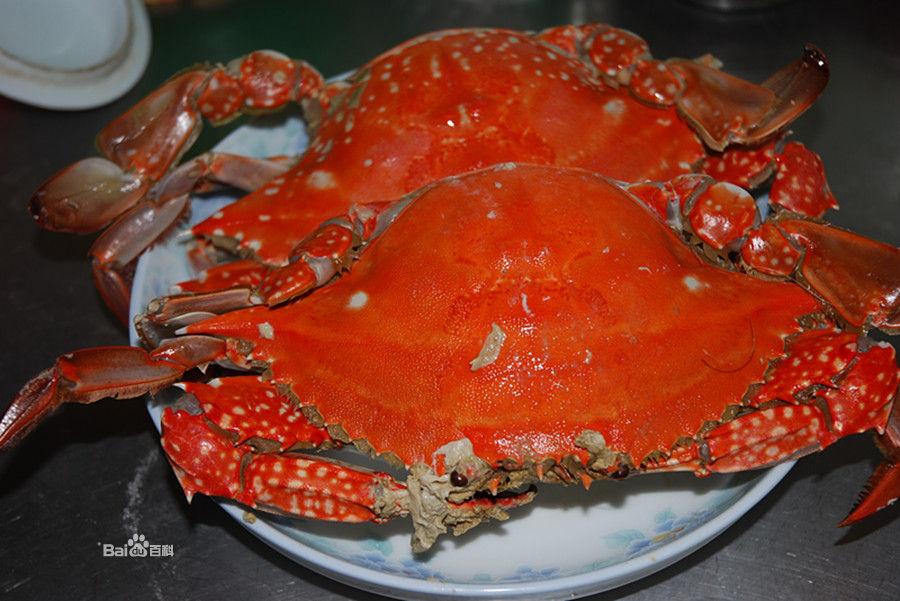 莱州梭子蟹膏似凝脂食之别有风味