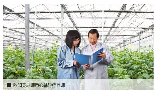 对话养生专家欧阳英:舌尖上的生机食疗法